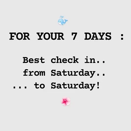 Nuovo Bilocale Frontemare Per 2 Daire *